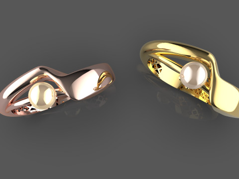 A100-12-ring 3D Druckmodell