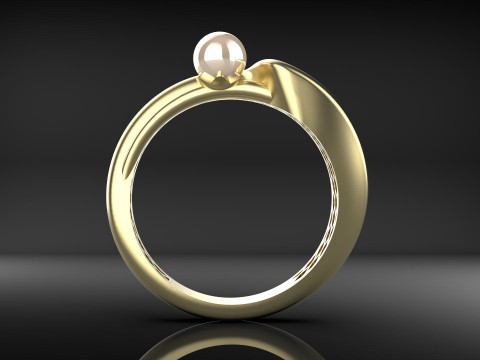 A100-12-ring 3D Druckmodell