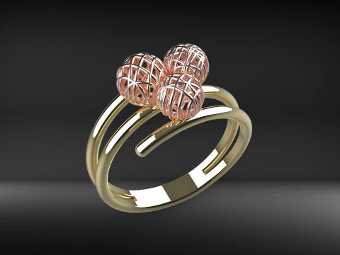 A100-17-rings 3D Print Model