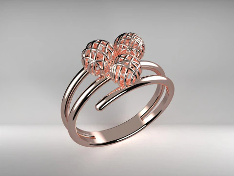 A100-17-rings 3D Print Model