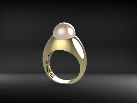 A100-44-rings 3D Print Model
