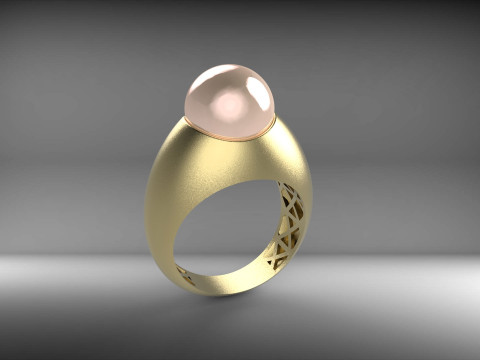 A100-44-rings 3D Принт Модель