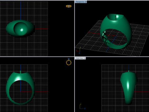 A100-44-rings 3D Принт Модель