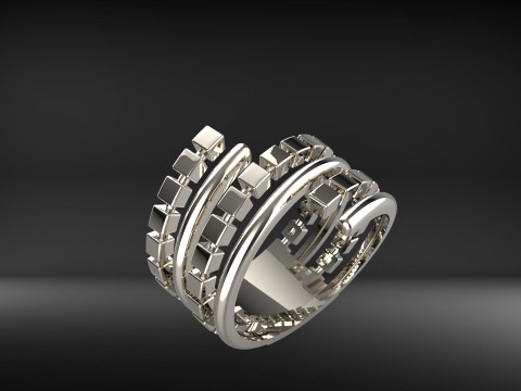 A100-20-ring 3Dプリントモデル