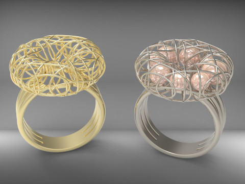 A100-26-ring Modèles 3D en vedette