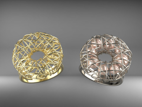 A100-26-ring 3D Druckmodell