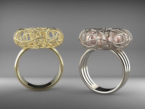A100-26-ring 3D Druckmodell