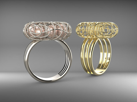 A100-26-ring 3D Druckmodell