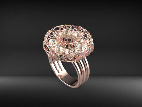 A100-26-ring 3D Druckmodell