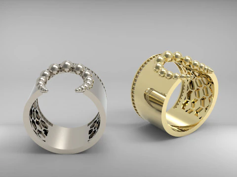 A100-29-rings 3D Print Model