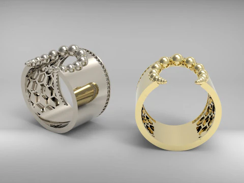 A100-29-rings 3D Print Model