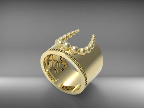 A100-29-rings 3D Print Model