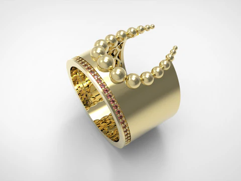 A100-29-rings 3D Print Model