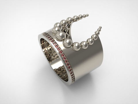 A100-29-rings 3D Принт Модель