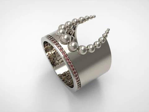 A100-29-rings 3D Print Model