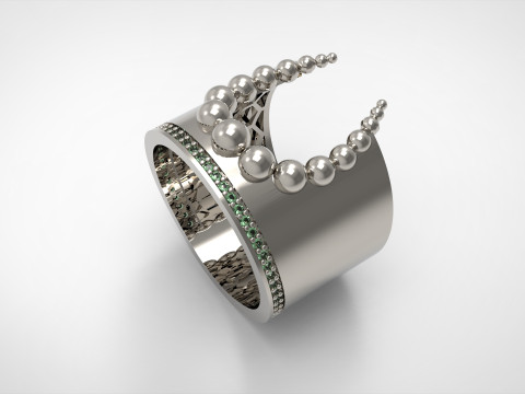 A100-29-rings 3D Принт Модель