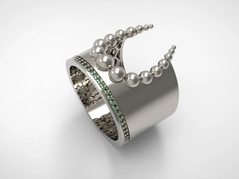 A100-29-rings 3D Print Model