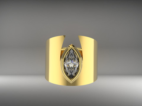 A100-22-rings 3D 打印模型