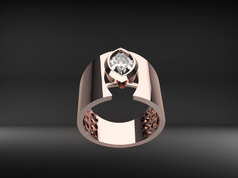 A100-22-rings 3D 打印模型