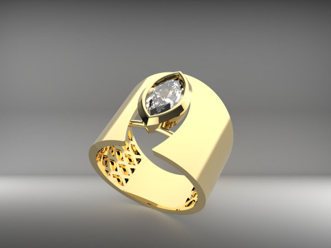 A100-22-rings 3D 打印模型