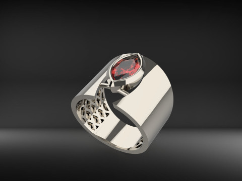 A100-22-rings 3D 打印模型
