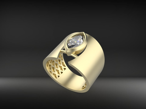 A100-22-rings 3D 打印模型