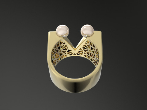 A100-34-rings 3D-printmodel