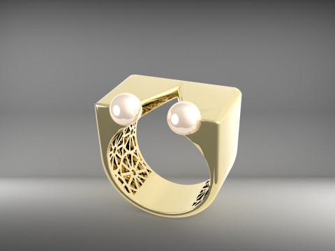 A100-34-rings 3D-printmodel