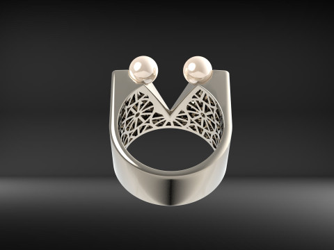 A100-34-rings 3D-printmodel