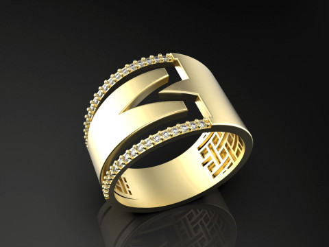 A100-36-rings 3D Print Model