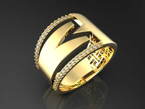 A100-36-rings 3D Принт Модель