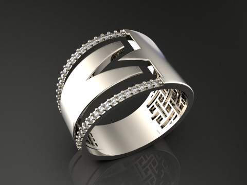 A100-36-rings 3D Принт Модель