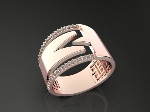 A100-36-rings 3D Принт Модель