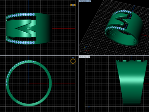 A100-36-rings 3D Принт Модель