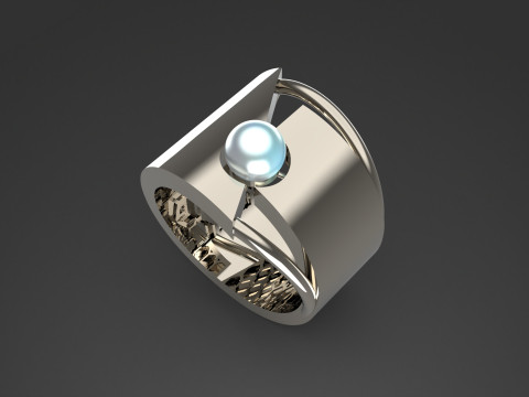 A100-37-rings 3D Baskı Modeli