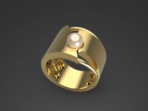 A100-37-rings 3D Print Model