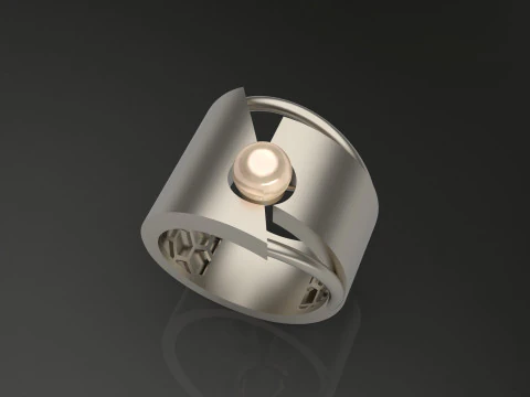 A100-37-rings 3D Print Model