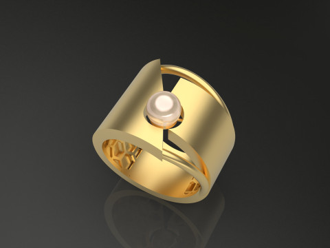 A100-37-rings 3D Baskı Modeli