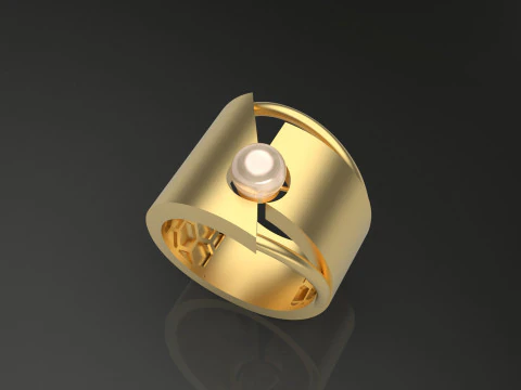 A100-37-rings 3D Print Model