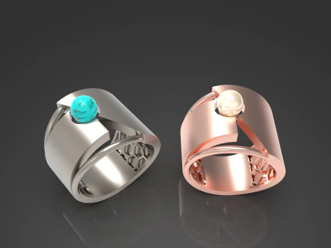 A100-37-rings 3D Print Model