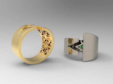 A100-39-rings 3D Print Model