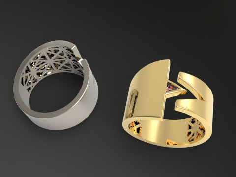 A100-39-rings 3D Print Model