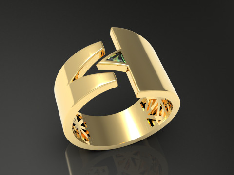 A100-39-rings 3D Print Model