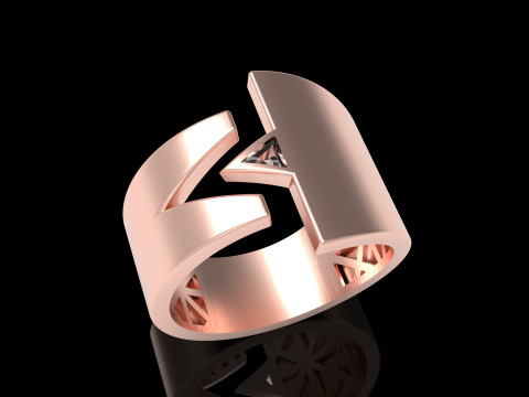 A100-39-rings 3D Print Model