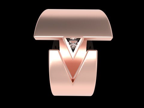 A100-39-rings 3D Print Model