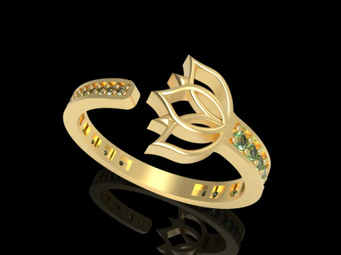 A100-41-rings 3D Print Model