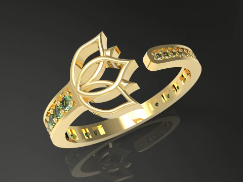 A100-41-rings 3D Print Model
