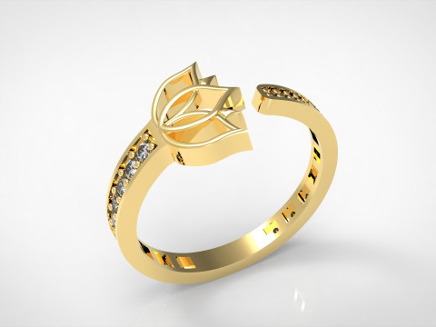 A100-41-rings Modello di stampa 3D