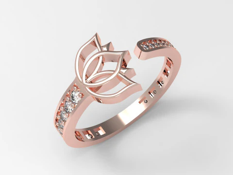 A100-41-rings 3D Print Model