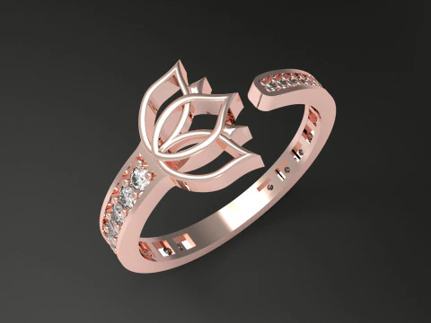 A100-41-rings 3D Print Model